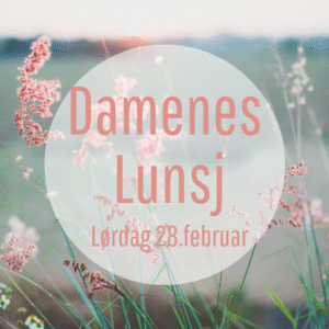 Damenes Lunsj For deg mellom 30 - 100 år